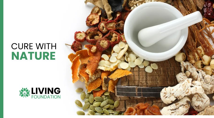 Living Foundation promo
